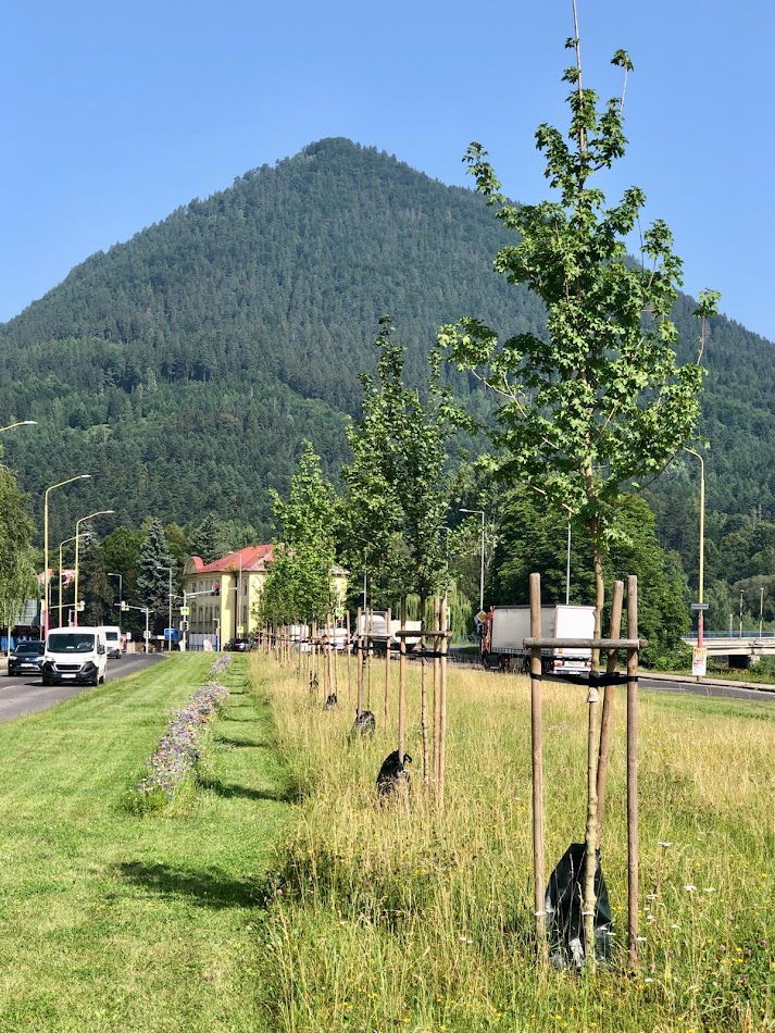 Hydroosev a spevňovanie svahu